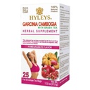 HYLEYS tee Garcinia Cambogia Roheline tee granaatõuna maitsega - 25 teekotid