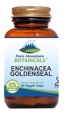 Echinacea Goldenseal kapslid - Kosher Vegan kapslid 450 mg orgaanilise Echinacea Goldenseal kompleksiga