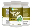 Papaya Leaf Extract kapslid (tabletid) - 500 mg 240 pillid, toetab trombotsüütide immuunsust ja seedimist - 60 päeva pakkumine