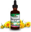 Nature's Answer Elecampane Root 2 oz. Madal orgaaniline alkohol 2000mg - taimsed toidulisandid - Non GMO & Kosher - Madala alkoholi gluteenivaba 100% vegan - 2 FL Oz