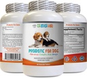 Probiootikumid koertele närimiseks - Koer PROBIOTICS - Bad Breath and Passing Gas Solution - Suuline tervis - fos Formula - 1 pudel (60 ravimit)