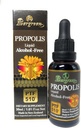 Evergreen Propolis Vedel alkoholivaba tinktuur 30 ml PTF1170 (sisaldab 1170 Propolis Flavonoidi), valmistatud Uus-Meremaal