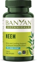 Banyan Botanicals Neem Tablets - Orgaaniline Neem Leaf (Azadirachta Indica) - Toetab looduslikku detoksifitseerimist, tervislikku nahka ja immuunsüsteemi tervist * - 90 tabletti - mitte-GMO jätkusuutlikult hangitud vegan