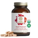PURE SYNERGY Heart Protector | Orgaaniline holistiline südamelisa orgaanilise Hawthorn Berry, Resveratrooli ja Nattokinaasiga | vere ja veresoonte toetamiseks (60 kapslit)