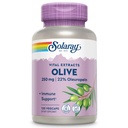 SOLARAY Olive 250mg - Olive Leaf Extract kapslid 22% Oleuropein, Plus Sidrun Balm - Polüfenoolide täiendus heaolu toetust - Vegan, 60-päevane garantii, Lab verifitseeritud - 120 Servings, 120 VegCaps