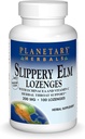 Planeeditaimed Libedad Elm Lozenges, 100 krahv