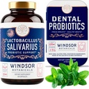 WINDSOR BOTANICALS Lactobacillus Salivarius probiootikumid ja hambaprobiootikumid Suukaudne tervisepakett
