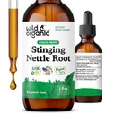 Wild & Organic Stinging Nettle Root Drops - Stinging Nettle Extract Tinktuur meestele ja naistele - Vedel Urtica Dioica Supplement - Vegan, suhkur ja alkoholivaba - 2 fl oz