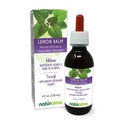 Naturalma Lemon Balm (Melissa officinalis) Leht Alkoholivaba tinktuur - 4 fl oz Vedelikekstrakt tilkades - Taimne täiendus - Vegan