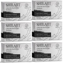30 000 MG Shilajit tabletid, 100% Shilajit Pure, Himalayan Organic, Shilajit meestele ja naistele rikas Fulvic Acid & 85+ Trace Minerals, Shilajit Supplement for Energy & Immune System, 360 Count