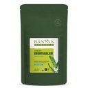 Banyan Botanicals Bhumyamalaki Powder – Organic Maver Health Supplement* – Phyllanthus spp. – Natural Detoxification & Cleaning of the Maver* – 1/2 Nael – Non GMO Jätkusuutlikult Allikas Vegan
