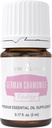 Noorelu - Saksa kummeli Vitality 5 ml | Antioksüdant & Natural Calmness Support | Toidulisand | Rahustav aroomiteraapia | Ancient Herbal Remedy for Lõõgastav