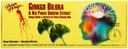 Rahuprints Ginkgo Biloba & Red Pan Gns 30X10 Cc