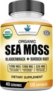 American Standard Supplements Organic Sea Moss, Bladderwrack & Burdock Juurkapslid - 1200mg Seamoss, 1200mg Bladderwrack, 225mg Burdock Root Per Serving - 120 kapslit, 40 Servingut
