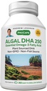 ANDREW LESSMAN Algal DHA 250mg 360 Softgels - Taimepõhised Omega-3 õlid, looduslikud merevetikad, kõrge DHA, mitte-GMO, kõrge potentsi, ei ole kõhukinnisust, ei ole kala maitset. Väike kerge alla neelata