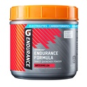 Gatorade Endurance Formula Powder, Arbuus, 32 Ounce