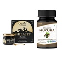 ORGANIC SPREE Pure Himalayan Shilajit Vaik & Mucuna Supplement – 20g & 120 Tablett – 85+ Trace Mineral Fulvic Acid Vasin & USDA Organic Mucuna Pruriens
