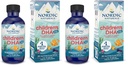 Nordic Naturals Laste DHA Xtra, Berry Punch - 2 oz lastele - 880 mg kokku Omega-3s EPA & DHA - Kognitiivne ja immuunfunktsioon, õppimine, sotsiaalne areng - Mitte-GMO - 48 Servings (pakk 2)