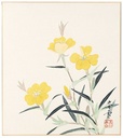 Hayashi Shunyuki Evening Primrose 6-356