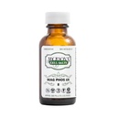 Jacksoni #8 Rakusoola Mag Phos 6X (500 Pellet Pudel) - Sertifitseeritud Vegan, Laktoosivaba Schuessler Koesool Magnesia Phosphorica 6X