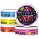 LyvWel 225mg Kofeiini energiakotid | Nootroopne fookus ja neurotugi | Tubakavaba, nikotiinivaba, kiire energialahendus | 5-pakend: 60 kotti (5 pakendit, mitmepakend)