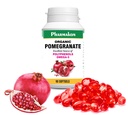 PHARMAKON Orgaaniline granaatõuna ekstrakt, väga biosaadav Softgels, Full Spectrum sisaldab polüfenoole + Omega 5