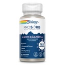 SOLARAY Ashwagandha Supplement Capsules – 18X Absorption Root & Leaf Extract 240 mg – Stress, Mood & Cortisol Support – Adaptogen Herbal Supplement – Vegan – 60 VegCaps