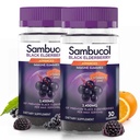 Sambucol Black Elderberry Gummies koos C-vitamiini ja tsink - Sambucus Elderberry Gummies immuunsüsteemi toetuseks, kõrged antioksüdandid, Gluteenivaba, Vegan, Elderberry koos tsink ja C-vitamiin - 30 Count, 2 Pack