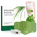 Taimne Patch Pad Balance - Mugwort Taimne Naba Patches Menstruaalkrampide leevendamiseks, Toetades Vähendatud Puhitus Välimus, Soodustab Kõhumugavus Mitteärritav Disain 1 Boxes 5 tükk (1 Box)