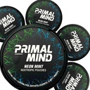 Primal Mind Neon Mint - Stimulant-Free Calm Focus Pouches | L-Theanine + Bacopa Monnieri + Ginkgo Biloba | Nikotiinivaba, kofeiinivaba | 20 kotti purgi kohta (100 Kokku 5-pakendis)
