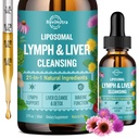 Liposomaalsed Lymphatic Drainage Tilgad, Maksa Puhastamine Detox & Remont Vedelik Täiendus Piimaohakaga, Dandelion, Burdock Root & Echinacea - Lymph & Maks Detox, Antioksüdant, Natural Flavor 2 Fl Oz