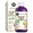 Eluaed Orgaanika Elderberry & Tsink laste immuunsuse toetamiseks, Kids Cough & Mucus Immune Syrup Ivy Leaf, C-vitamiin ja Echinacea lastele, alkoholivabad, Lisatud suhkrud, 3.92 fl oz