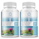 (2 Pack) Piimaohakalisandi kapslid, maksa tervise valem, Dandelioni juurega, 10: 1 ekstrakt, maks Detox Cleanse Support, seedetrakti ja immuunsüsteemi jaoks, 240 loend