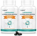Orgabay Liposomal NAD+ Täiendus 500 mg, kõrge imendumine, NAD+ suurendamine TMG 250 mg-ga, tegelik NAD Plus tõhusam kui nikotiinamiid ribosiid, rakuenergia toetamine, tervislik vananemine | 120 softgeeli