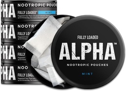 Täielikult laaditud alfa-nootroopsed kotid (Mint) - 5 purki - 15 kotti purgi kohta - efektiivne nootroopne kohaletoimetamine, Nic Pouch asendamine - kiirem imendumine, Alpha GPC, L-türosiin, GABA