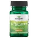 Swanson L. Plantarum - seedetrakti lisand, mis soodustab seedetrakti tasakaalu ja soole korrapärasust - looduslik valem, mis aitab vähendada puhitust - (30 köögiviljakapslit)