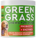 PAWFECTCHEW Koer Pee Grass Abiline - Rohuravi Koer Uriin - Koer Uriini Neutralisaator Rohu põletamise täpid - Koer Pee Muru remont ravi probiootikumid - Valmistatud USA - 120 Chews