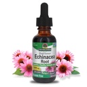 Looduse vastus Echinacea Alkoholivaba ekstrakt 1 Vedelik Ounce | Soodustab üldist heaolu | Looduslik immuunsuse suurendaja | Põletikuline vähendaja
