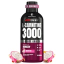 ProSupps L-karnitiin Vedel 3000, Stimulant-Free Vedelad kaadrid meestele ja naistele - Puhas treeningjook energia, jõudluse ja lihaste taastamiseks - Ei Suhkrut, Ei Süsivesikud - 31 Servings, Draakoni Puuvili