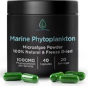 Mere Fütoplankton Kapslid Holistic Bin | Looduslikult kasvatatud Põhjamerevees | Vegan Omega 3 täiendus | Rikas aminohapete, klorofülli, vitamiinide ja jälgi mineraalide