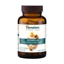 Himalaya Boswellia, ühine toetus liikuvusele ja paindlikkusele, edendab kudede säilitamist, 250 mg, 60 kapslit