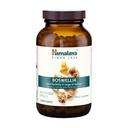 Himalaya Boswellia, ühine toetus liikuvusele ja paindlikkusele, edendab kudede säilitamist, 250 mg, 240 kapslit