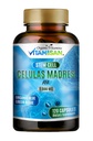 Celulas Madres AFA Tüvi Looduslik rakk 120 kapslit 1000 mg Sinine roheline vetikas Mitte GMO Gluteenivaba Aphanizomenon Flos- aquae celula Madre