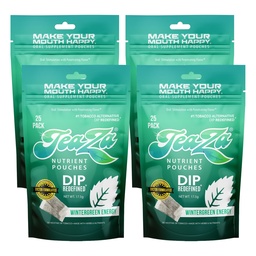 TeaZa Herbal Energy Pouches Tobacco Alternative Nicotine Free Dip, Alternative Snuff Healthy Dip Pouches, Wintergreen Energy (4 Pack) Tobacco Free Chewing with Premium Cool, Crisp Flavor