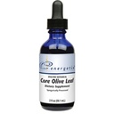 Energetix Core Olive Leaf (2 untsi)