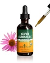 Herb Pharm Certified Organic Super Echinacea Vedelik ekstrakti tilgad Active Immune System Support, 2 Oz