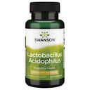 Swanson Lactobacillus Acidophilus 2 miljardit Cfu 100 kapslit