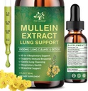 (2 Pack) 6 In 1 Mullein tilgad kopsudele, orgaaniline Mullein Leaf Extract Tinktuur kopsudele, Detox Cleanse & Respiratory for Breathing Health, Mullein Oil Supplement Immune Support, Vegan, 1 Fl Oz