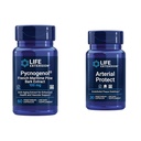 Eluea pikendamine Pycnogenol Prantsuse meremännikoor ja Gotu Kola Arterial Health Supplements - 60 & 30 taimetoitlased kapslid