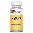 SOLARAY L Lysine 500 mg kapslid - vaba vormi olulised aminohapped - võimas tervisetoetus L-lüsiin Aminohappega - Lab kinnitatud, 60-päevane garantii, 60 serveerimist, 60 VegCaps